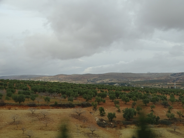 DSC00365 (700x525, 284Kb)
