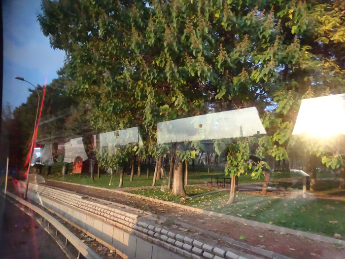 DSC00378 (700x525, 478Kb)