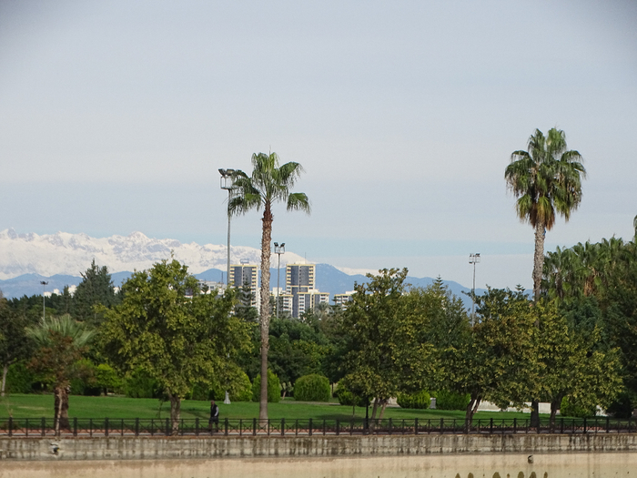 DSC00427 (700x525, 372Kb)