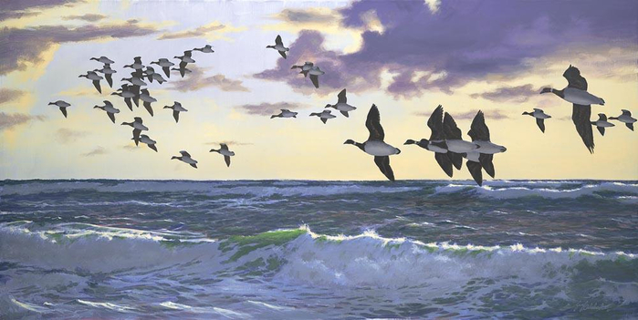 MorningFlightBrant-WaterBirds-1 (700x351, 251Kb)