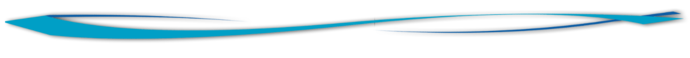 WDYGZ (700x58, 14Kb)