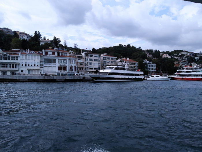 IMG_20200913_154542 (700x525, 374Kb)