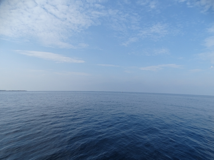 DSC00300 (700x525, 284Kb)