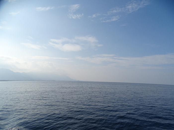 DSC00306 (700x525, 289Kb)