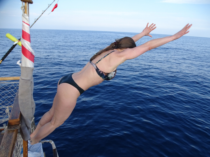 DSC00353 (700x525, 387Kb)