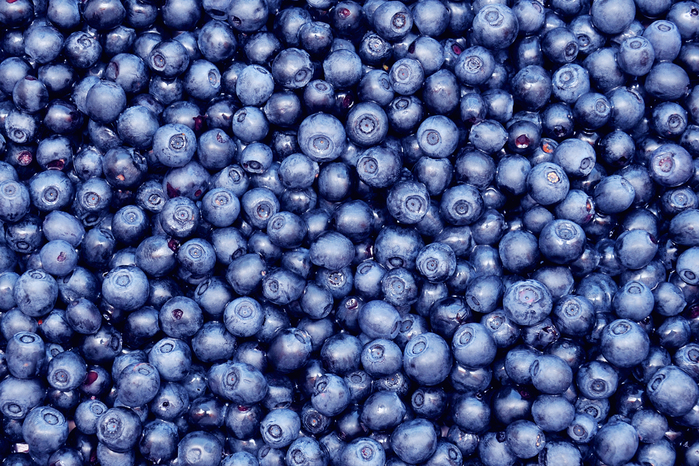 Header-Blueberries@0.5x (700x466, 563Kb)