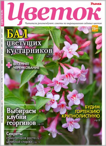 cover (3) (363x500, 50Kb)