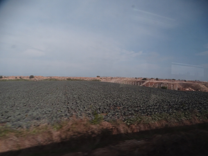 DSC00007 (700x525, 282Kb)