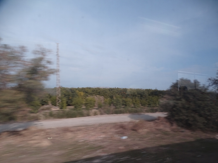 DSC00009 (700x525, 254Kb)