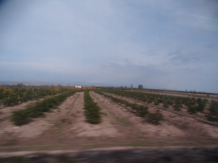 DSC00011 (700x525, 251Kb)