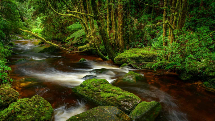 Franklin-Gordon Wild Rivers National Park, Tasmania (700x393, 446Kb)