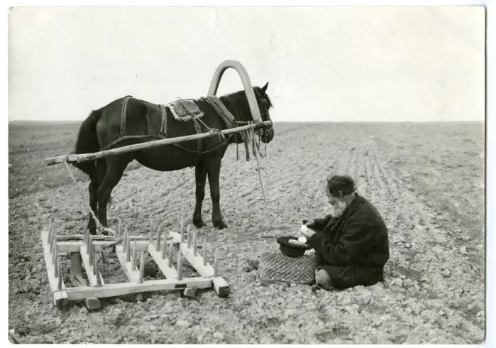  оссия Обед крестьянина в поле, 1914 год (700x490, 410Kb)