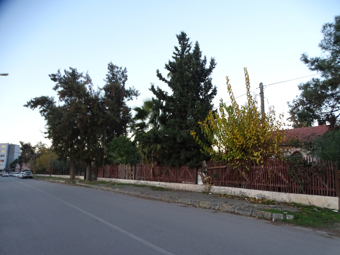 DSC00189 (700x525, 382Kb)