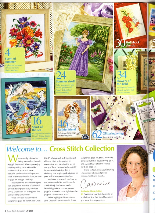 cross stitch collection 132 2006.07 02 (508x700, 496Kb)