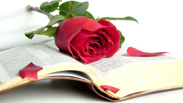 c812ca1c-5450-5df4-ba47-1116801d89c6 (700x393, 211Kb)