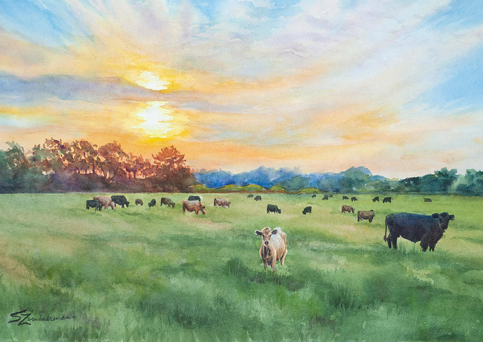 sunrise-on-the-pasture-sue-zimmermann (700x495, 399Kb)