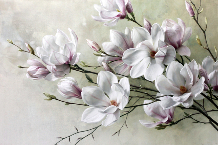 Magnolias-II-39X59-inch-100X150cm (700x464, 368Kb)