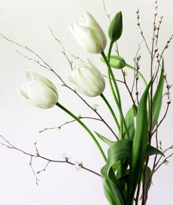 White-Tulips-II-39-X-335-inchesb (591x700, 384Kb)