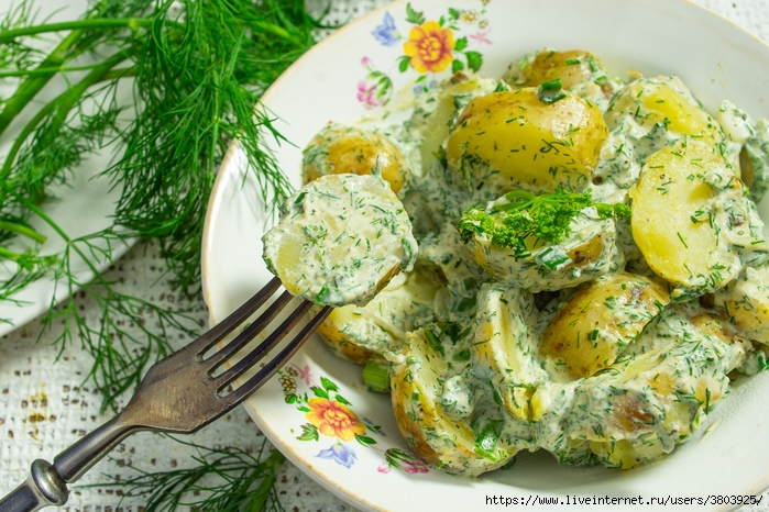 Картофельный салат со сметаной и укропом: самое летнее блюдо из картофеля
