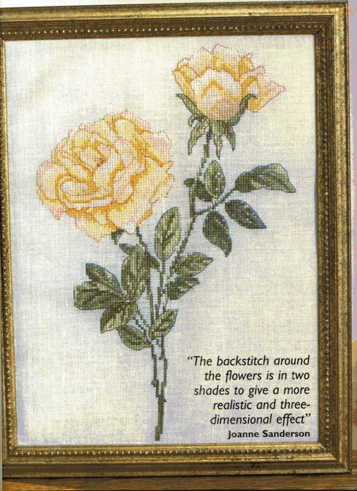 Cross Stitch Collection Issue 96 07 (508x700, 462Kb)