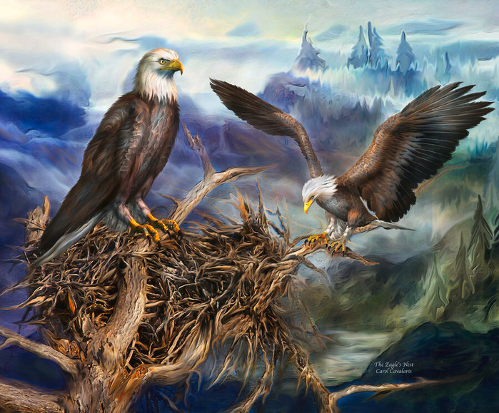 the-eagles-nest-carol-cavalaris (700x579, 539Kb)
