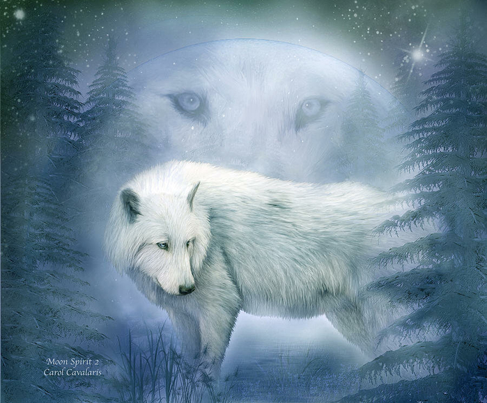 moon-spirit-2-white-wolf-blue-carol-cavalaris (700x579, 400Kb)