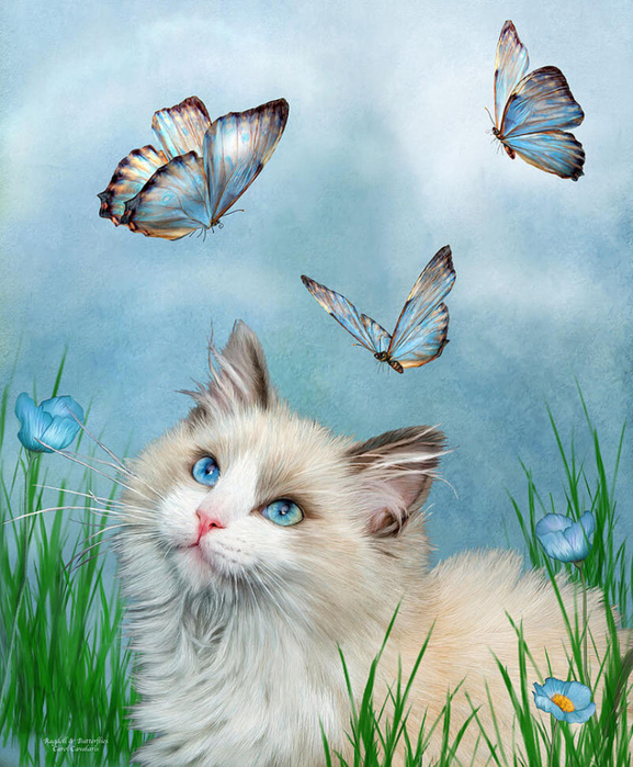 ragdoll-kitty-and-butterflies-carol-cavalaris (577x700, 461Kb)