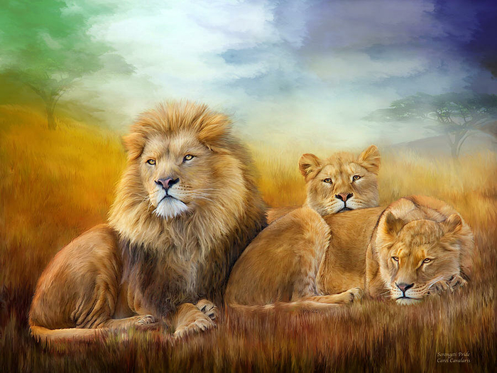 serengeti-pride-carol-cavalaris (700x525, 411Kb)