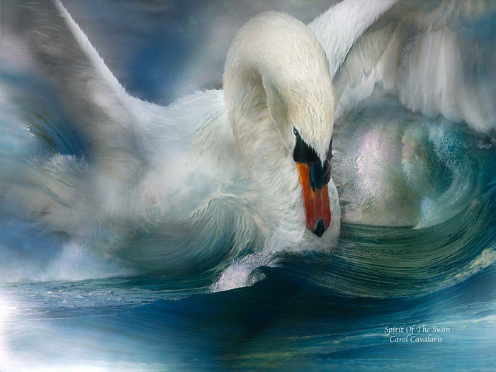 spirit-of-the-swan-carol-cavalaris (700x525, 382Kb)