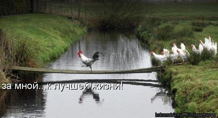 4743317_6W (700x378, 42Kb)