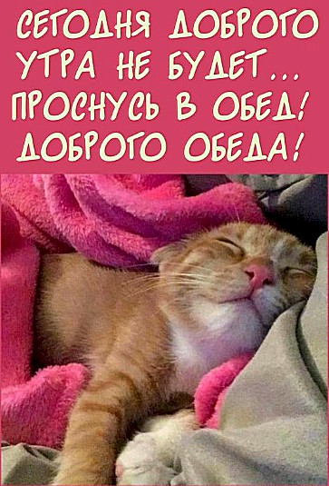 4743317_d9f230a9 (363x535, 73Kb)
