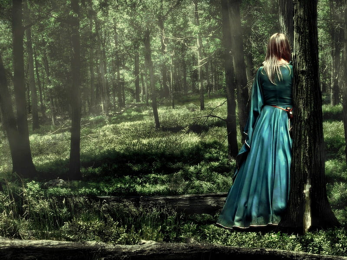 HD-wallpaper-alone-in-the-forest-forest-graphy-girl-model-beauty-nature-trees (700x525, 474Kb)