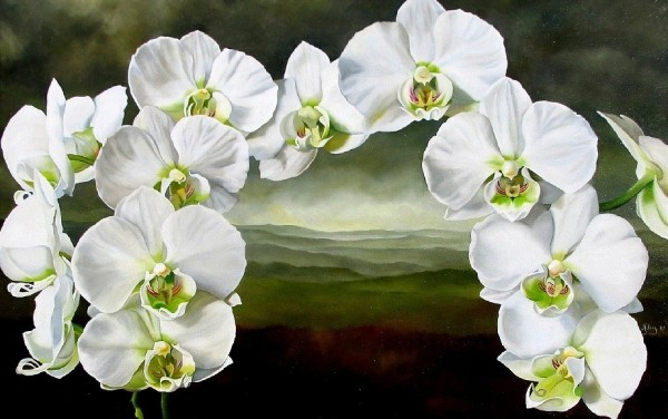 Hilary_Eddy_2 (600x376, 171Kb)