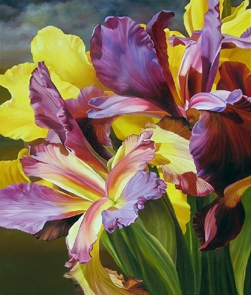 Hilary_Eddy_4 (495x581, 297Kb)