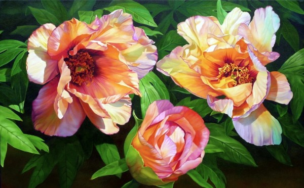 Hilary_Eddy_7 (600x372, 225Kb)
