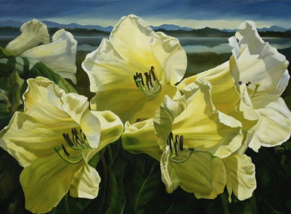 Hilary_Eddy_18 (600x442, 196Kb)