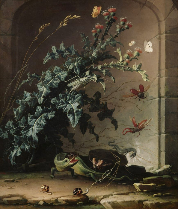 Elias_van_den_Broeck_-_Stone_Niche_with_Thistle_Lizard_and_Insects_1690_-_(MeisterDrucke-558341) (594x700, 424Kb)