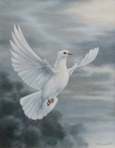 white_dove (390x500, 95Kb)