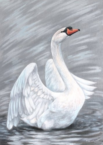 white_swan (355x500, 108Kb)