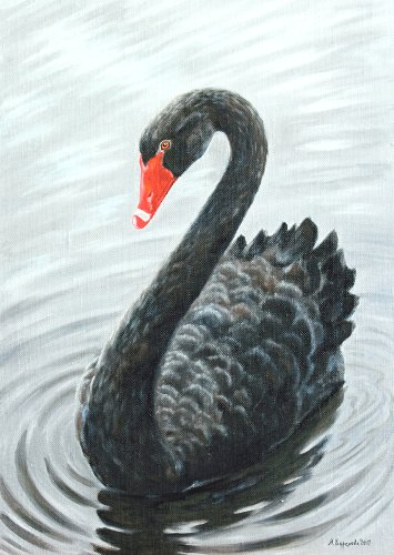 black_swan (355x500, 117Kb)