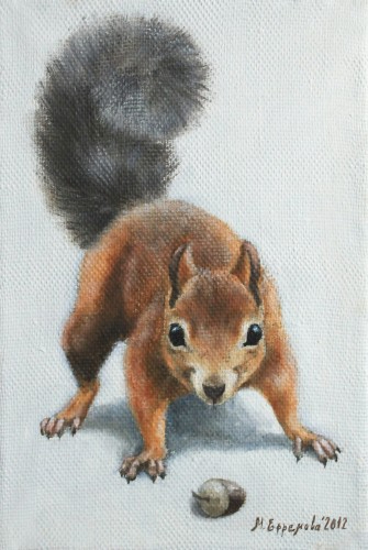 squirrel (335x500, 119Kb)