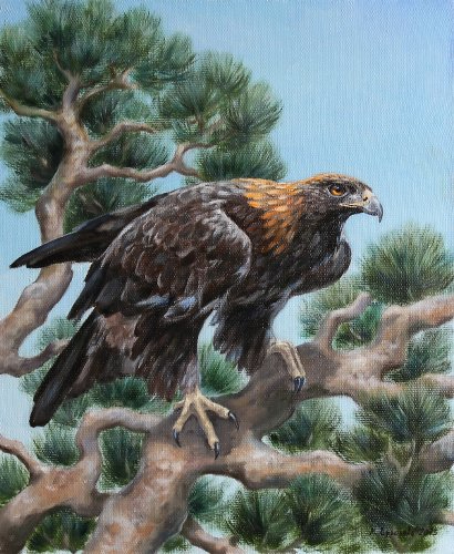 eagle_on_a_pine_tree (410x500, 195Kb)