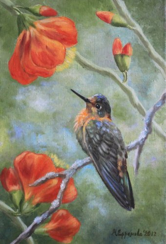 golden_hummingbird (340x500, 137Kb)