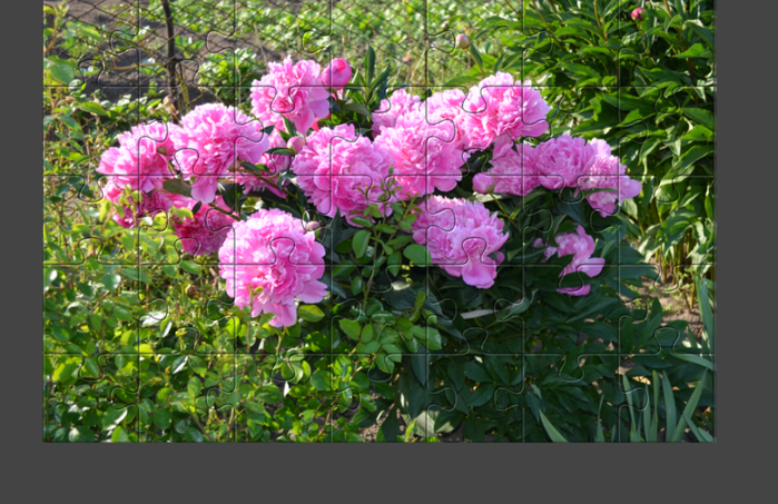Image 16 (700x453, 501Kb)