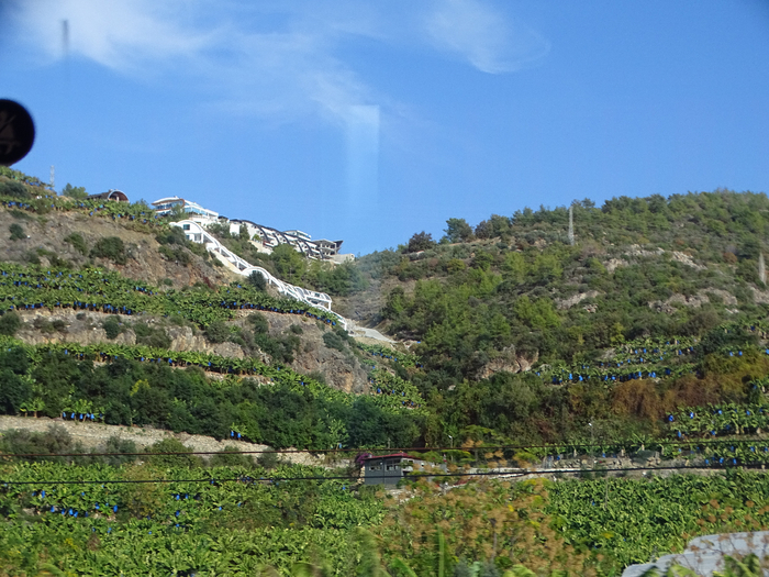 DSC00065 (700x525, 482Kb)