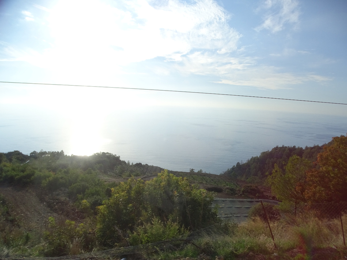 DSC00110 (700x525, 279Kb)