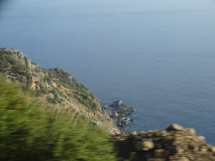 DSC00141 (700x525, 339Kb)