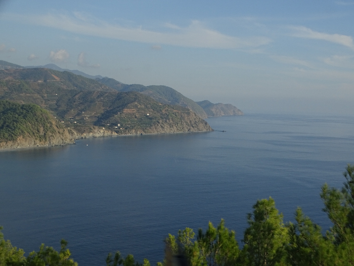 DSC00157 (700x525, 291Kb)