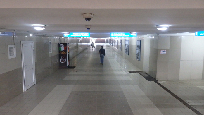 P6170016 (700x393, 245Kb)