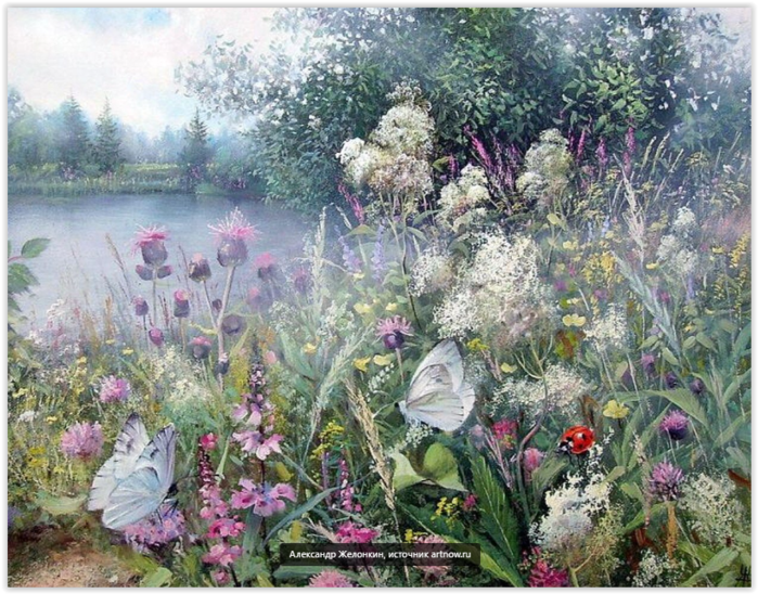 Великолепие цветов и бабочек: живопись Александра Желонкина!